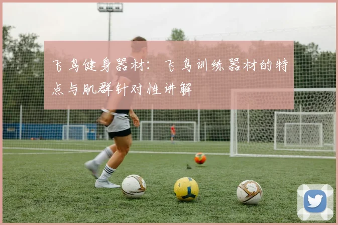 飞鸟健身器材：飞鸟训练器材的特点与肌群针对性讲解