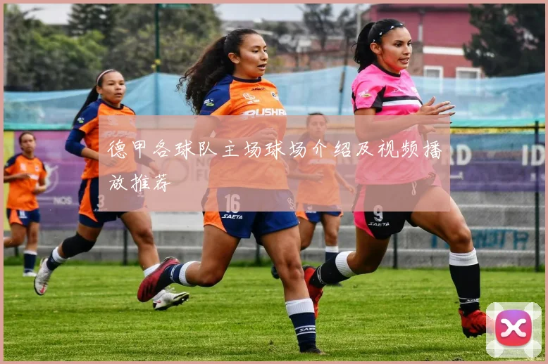 德甲各球队主场球场介绍及视频播放推荐