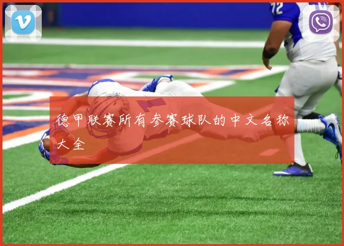 德甲联赛所有参赛球队的中文名称大全